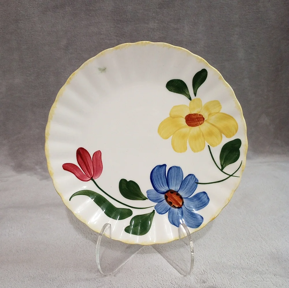 Pair Of Blue Ridge Southern Pottery Sun Bouquet Luncheon Plates